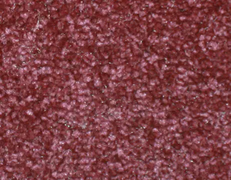 e-bordo-462x360.webp