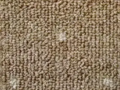 bukle_0003s_0005_507.webp