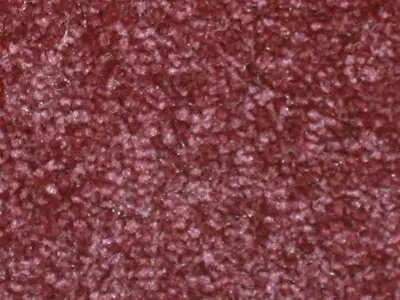 e-bordo-462x360.webp