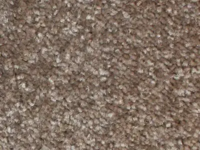 e-vizon-462x360.webp