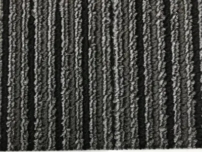karohalitampa025.webp