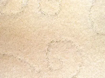 s02-462x360.webp