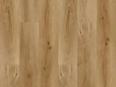 t_20a.webp