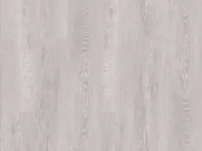 t_25a.webp