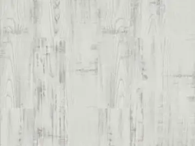 t_642.webp