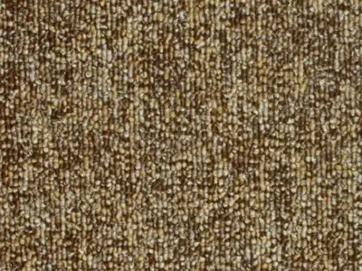 trendy_001-462x360.webp