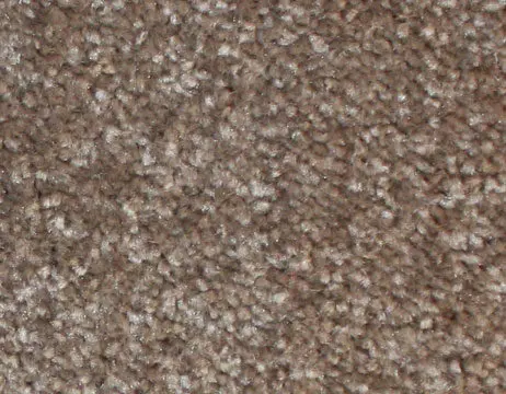 e-vizon-462x360.webp