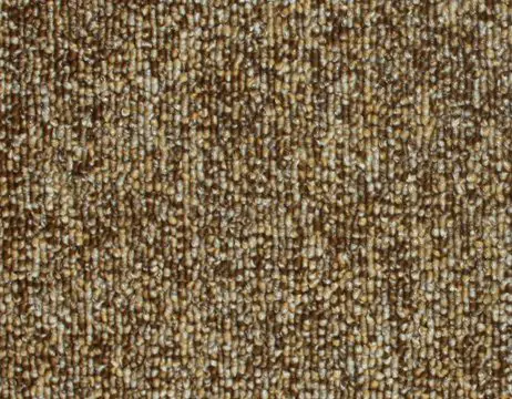 trendy_001-462x360.webp