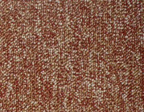 trendy_003-462x360.webp